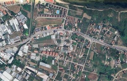 YALOVA ARMUTLU YOLUNA YAKIN 474 M2 TİCARİ İMARLI CADDEDE ARSA