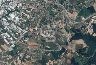 YALOVA TERMAL AKKÖY CADDEYE YAKIN 460 M2 ÖNÜ AÇIK SATILIK ARSA!.