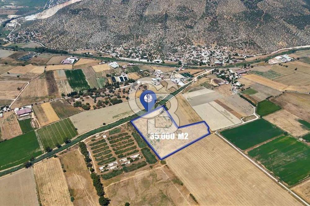 MİLAS YAŞYER MAH. TEK TAPU 35 DÖNÜM KARAYOLU'NA YAKIN "TARLA"