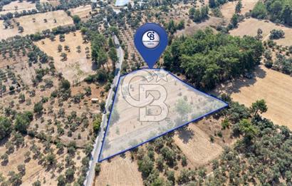 CB MARİNA'DAN BODRUM ETRİM'DE 7542 M2 SATILIK TARLA