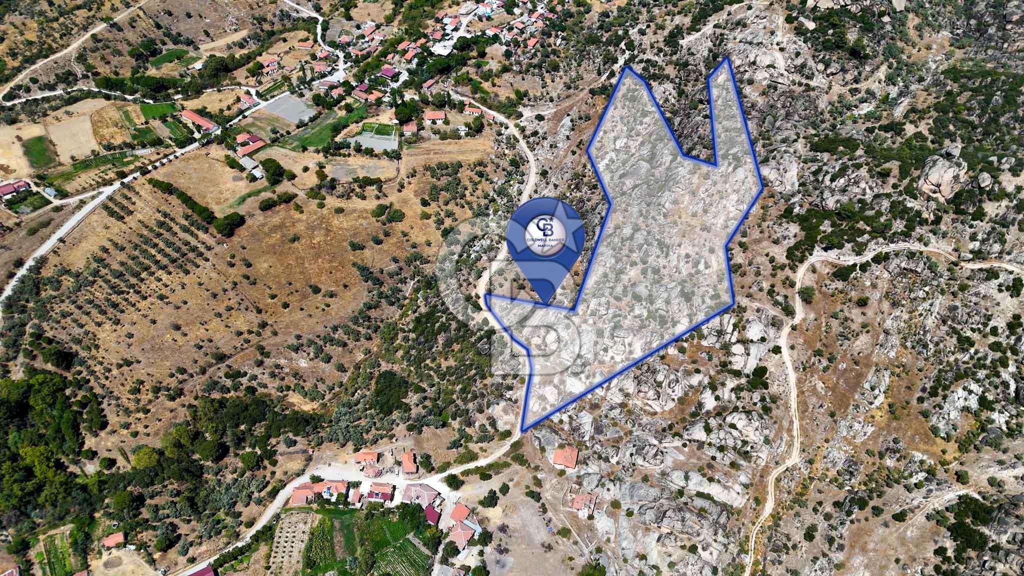 CB MARİNA'DAN HİSARARDI'NDA 19 DÖNÜM SATILIK "ZEYTİNLİK"