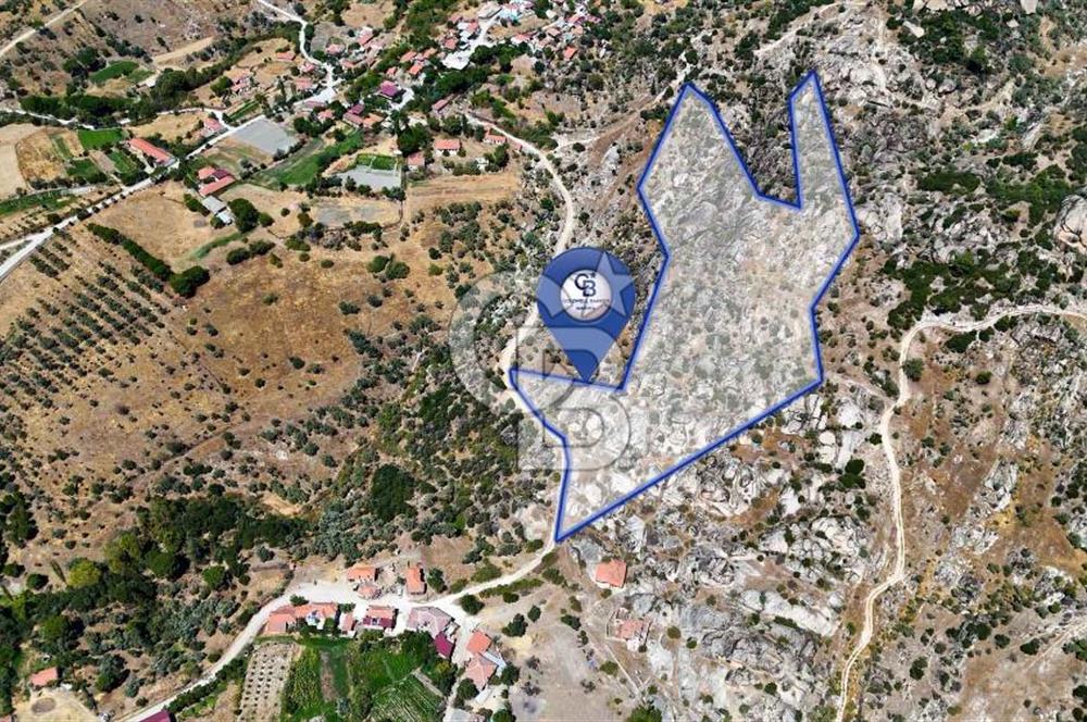 CB MARİNA'DAN HİSARARDI'NDA 19 DÖNÜM SATILIK "ZEYTİNLİK"