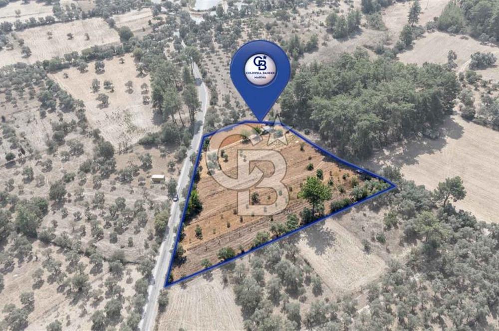 CB MARİNA'DAN BODRUM ETRİM'DE 7542 M2 SATILIK TARLA