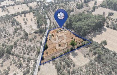 CB MARİNA'DAN BODRUM ETRİM'DE 7542 M2 SATILIK TARLA