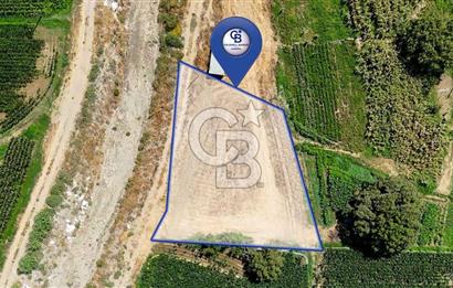 CB MARİNA'DAN YATAĞAN OVASINDA HOBİ BAHÇESİ FIRSAT SATILIK TARLA
