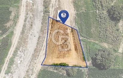 CB MARİNA'DAN YATAĞAN OVASINDA HOBİ BAHÇESİ FIRSAT SATILIK TARLA