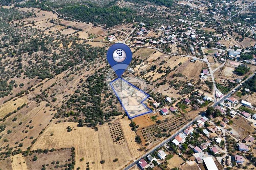 CB MARİNA'DAN BODRUM PINARLIBELEN'DE 6880 M2 SATILIK ZEYTİNLİK