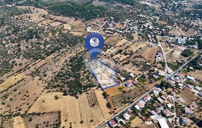 CB MARİNA'DAN BODRUM PINARLIBELEN'DE 6880 M2 SATILIK ZEYTİNLİK