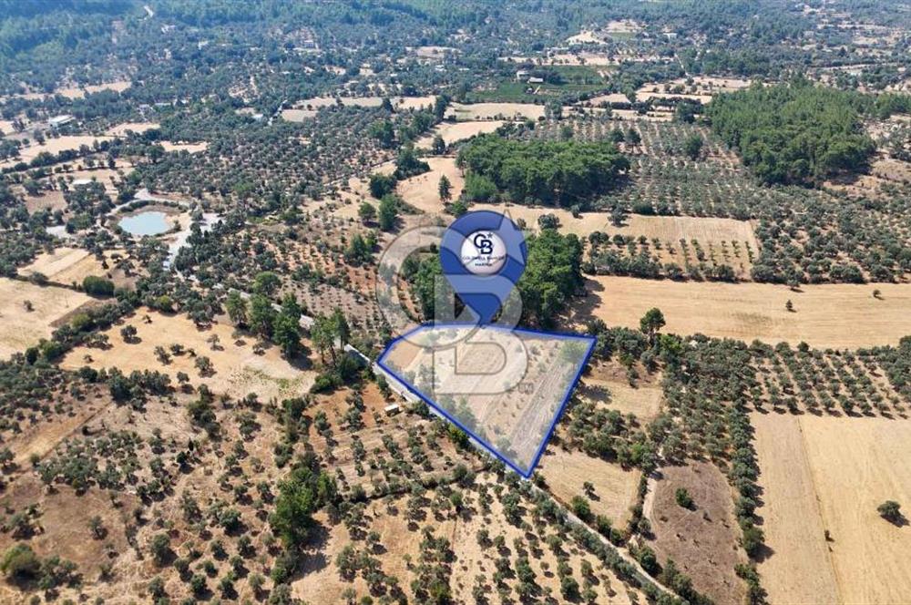 CB MARİNA'DAN BODRUM ETRİM'DE 7542 M2 SATILIK TARLA