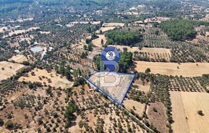 CB MARİNA'DAN BODRUM ETRİM'DE 7542 M2 SATILIK TARLA