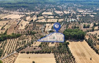 CB MARİNA'DAN BODRUM ETRİM'DE 7542 M2 SATILIK TARLA
