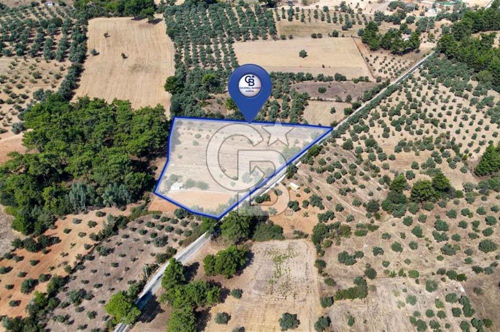CB MARİNA'DAN BODRUM ETRİM'DE 7542 M2 SATILIK TARLA