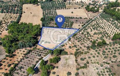CB MARİNA'DAN BODRUM ETRİM'DE 7542 M2 SATILIK TARLA