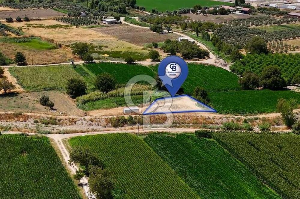 CB MARİNA'DAN YATAĞAN OVASINDA HOBİ BAHÇESİ FIRSAT SATILIK TARLA