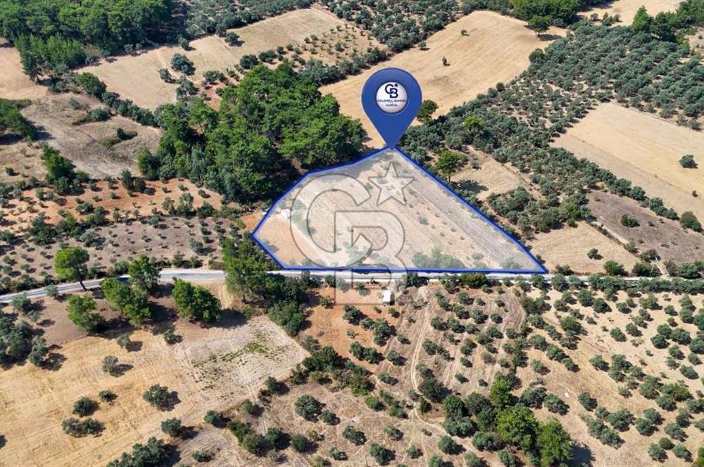CB MARİNA'DAN BODRUM ETRİM'DE 7542 M2 SATILIK TARLA