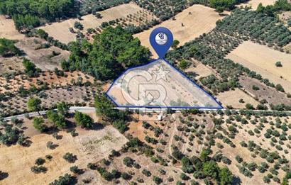 CB MARİNA'DAN BODRUM ETRİM'DE 7542 M2 SATILIK TARLA