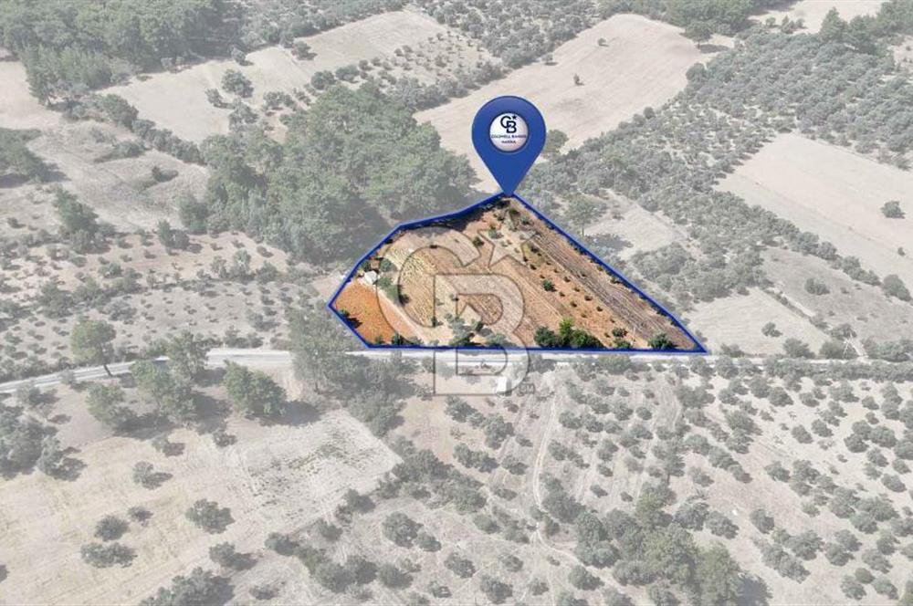 CB MARİNA'DAN BODRUM ETRİM'DE 7542 M2 SATILIK TARLA