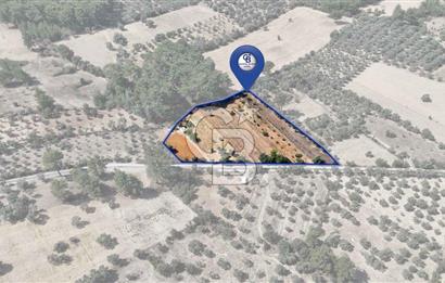 CB MARİNA'DAN BODRUM ETRİM'DE 7542 M2 SATILIK TARLA