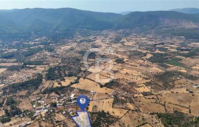 CB MARİNA'DAN BODRUM PINARLIBELEN'DE 6880 M2 SATILIK ZEYTİNLİK