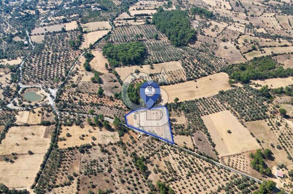 CB MARİNA'DAN BODRUM ETRİM'DE 7542 M2 SATILIK TARLA