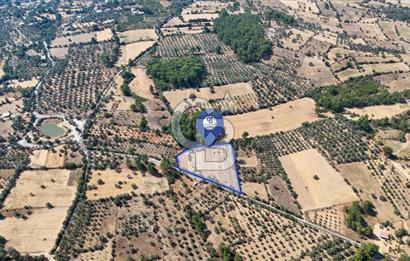 CB MARİNA'DAN BODRUM ETRİM'DE 7542 M2 SATILIK TARLA