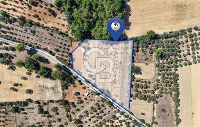 CB MARİNA'DAN BODRUM ETRİM'DE 7542 M2 SATILIK TARLA