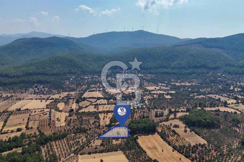 CB MARİNA'DAN BODRUM ETRİM'DE 7542 M2 SATILIK TARLA