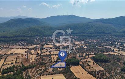 CB MARİNA'DAN BODRUM ETRİM'DE 7542 M2 SATILIK TARLA