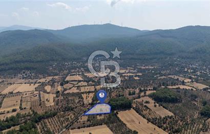 CB MARİNA'DAN BODRUM ETRİM'DE 7542 M2 SATILIK TARLA
