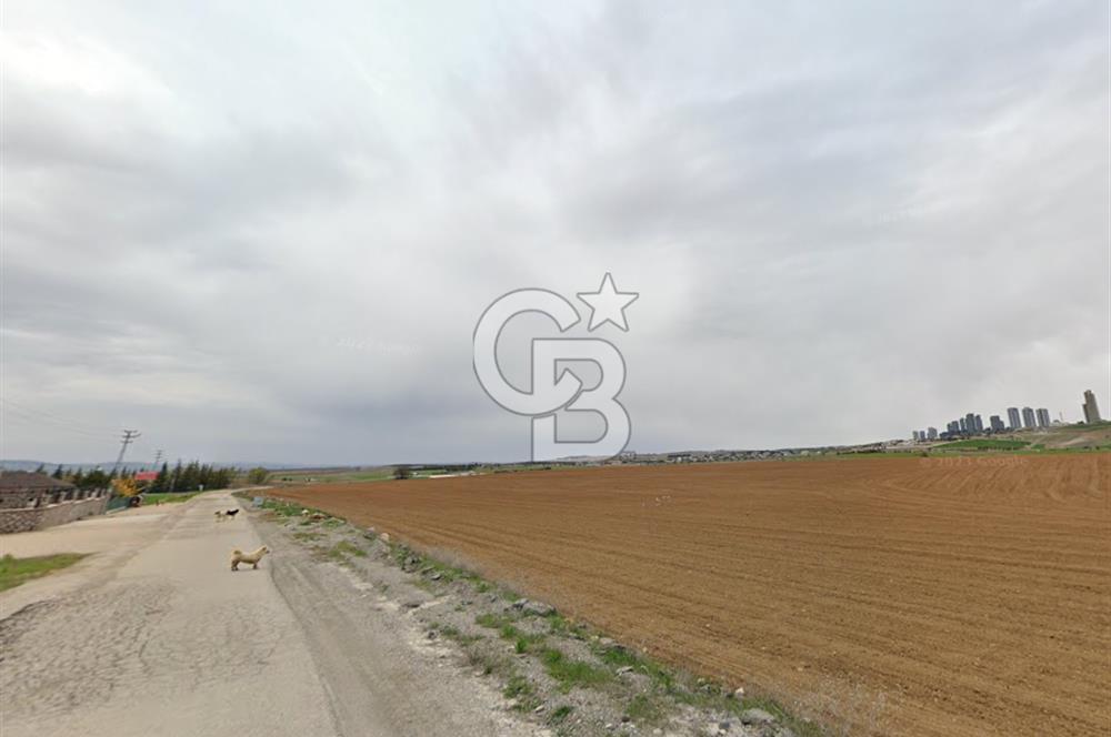 GÖLBAŞI KIZILCAŞAR 'DA 1500 m² YOLA CEPHELİ SATILIK VİLLA ARSASI