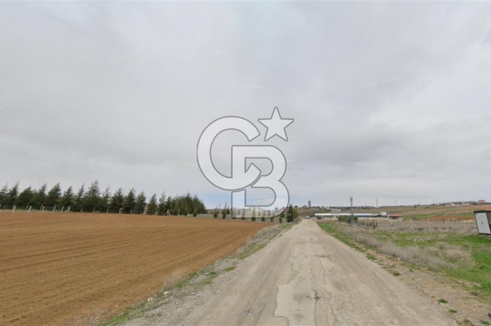 GÖLBAŞI KIZILCAŞAR 'DA 1500 m² YOLA CEPHELİ SATILIK VİLLA ARSASI