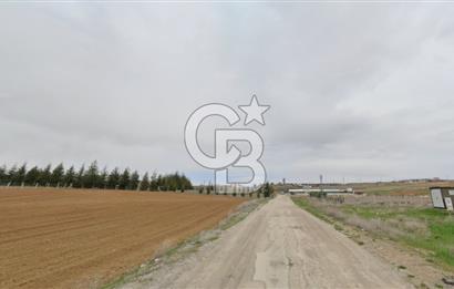 GÖLBAŞI KIZILCAŞAR 'DA 1500 m² YOLA CEPHELİ SATILIK VİLLA ARSASI