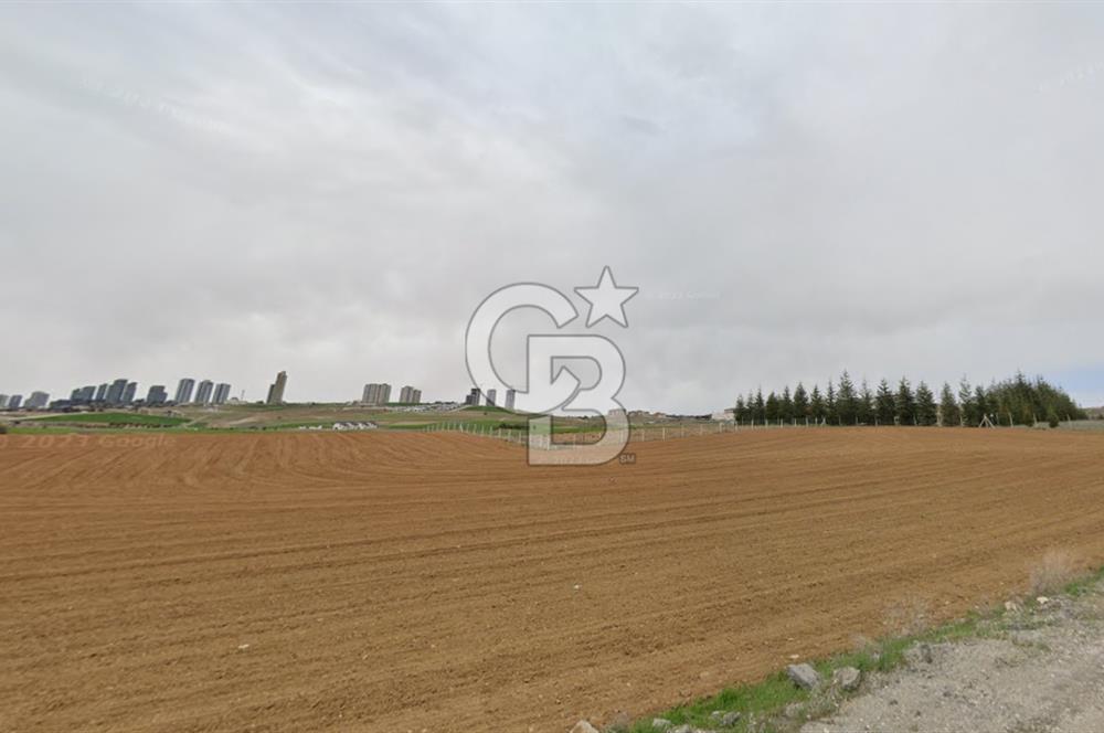 GÖLBAŞI KIZILCAŞAR 'DA 1500 m² YOLA CEPHELİ SATILIK VİLLA ARSASI