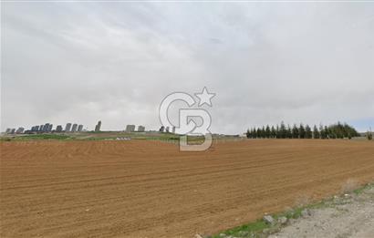 GÖLBAŞI KIZILCAŞAR 'DA 1500 m² YOLA CEPHELİ SATILIK VİLLA ARSASI