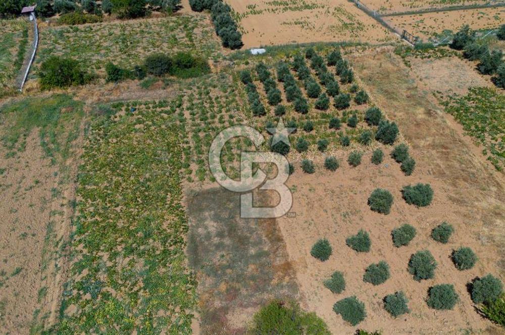 AKKAYA'DA MAHALLE YERLEŞİMİNE YAKIN; FIRSAT PORTFÖYÜ "TARLA"