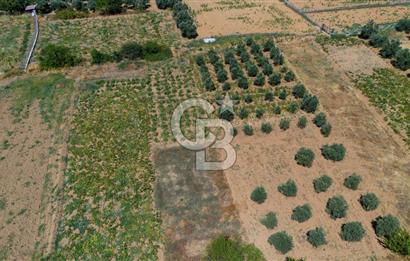 AKKAYA'DA MAHALLE YERLEŞİMİNE YAKIN; FIRSAT PORTFÖYÜ "TARLA"