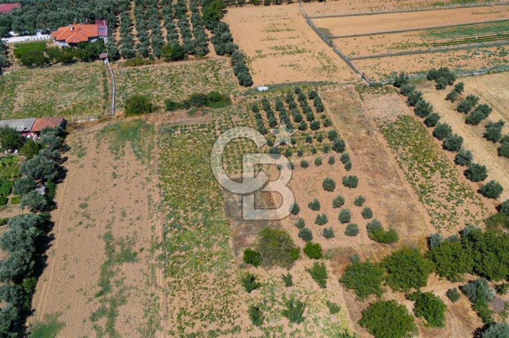 AKKAYA'DA MAHALLE YERLEŞİMİNE YAKIN; FIRSAT PORTFÖYÜ "TARLA"