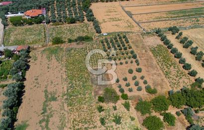 AKKAYA'DA MAHALLE YERLEŞİMİNE YAKIN; FIRSAT PORTFÖYÜ "TARLA"