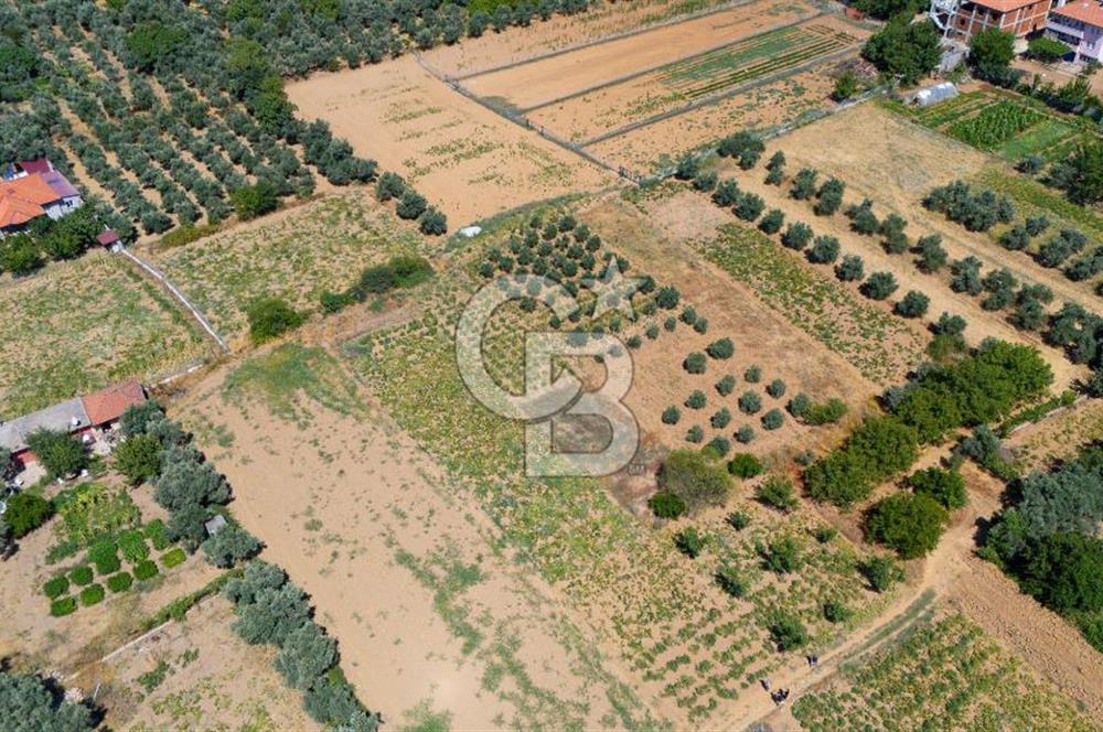 AKKAYA'DA MAHALLE YERLEŞİMİNE YAKIN; FIRSAT PORTFÖYÜ "TARLA"