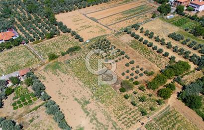 AKKAYA'DA MAHALLE YERLEŞİMİNE YAKIN; FIRSAT PORTFÖYÜ "TARLA"