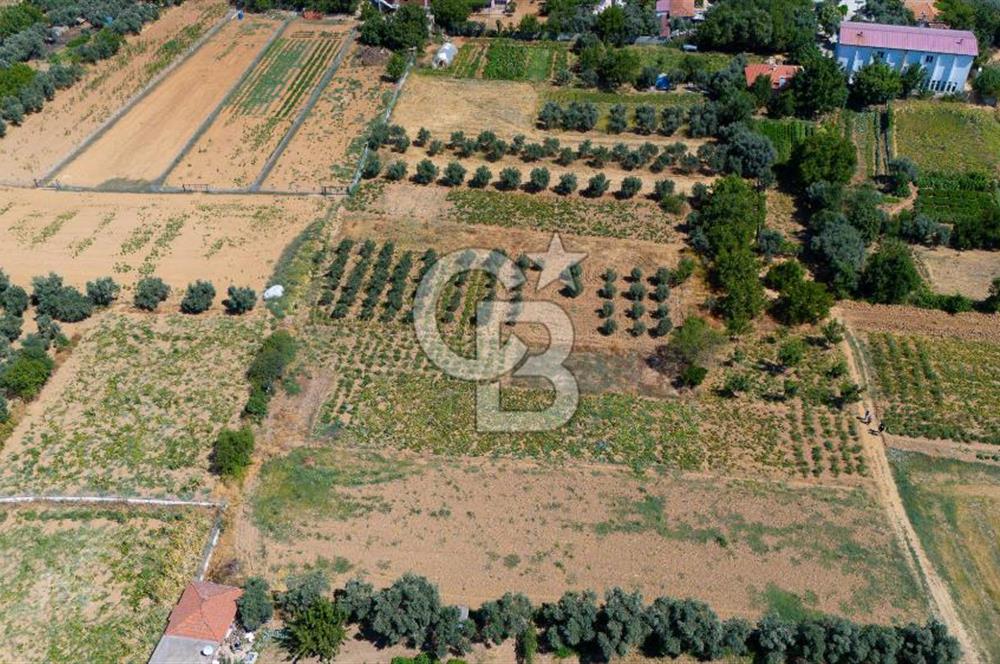 AKKAYA'DA MAHALLE YERLEŞİMİNE YAKIN; FIRSAT PORTFÖYÜ "TARLA"