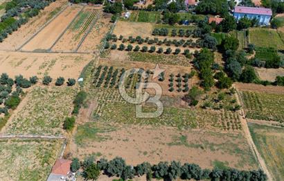 AKKAYA'DA MAHALLE YERLEŞİMİNE YAKIN; FIRSAT PORTFÖYÜ "TARLA"