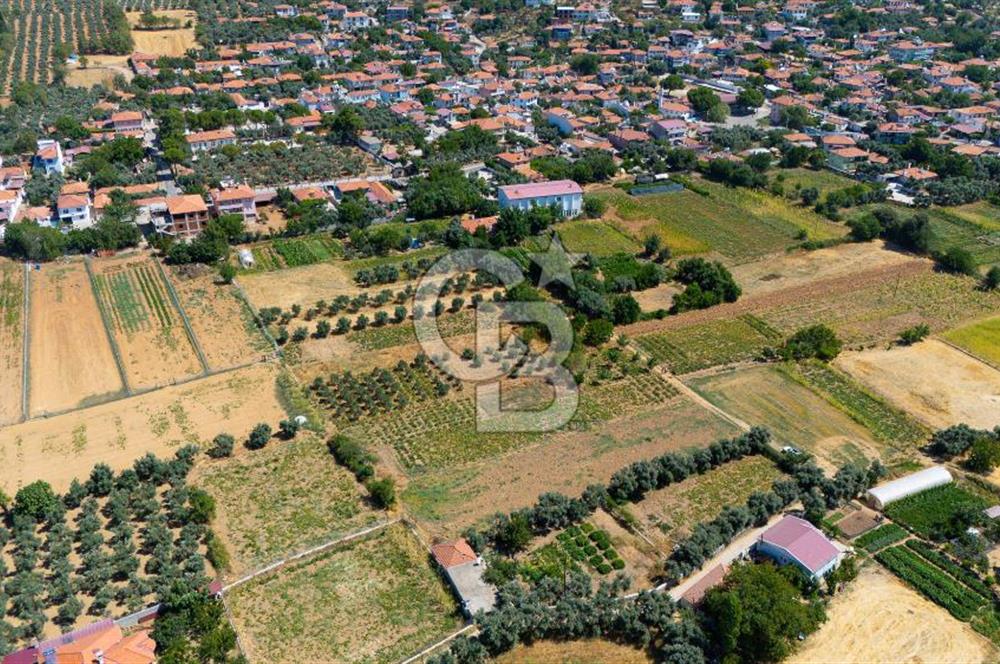 AKKAYA'DA MAHALLE YERLEŞİMİNE YAKIN; FIRSAT PORTFÖYÜ "TARLA"