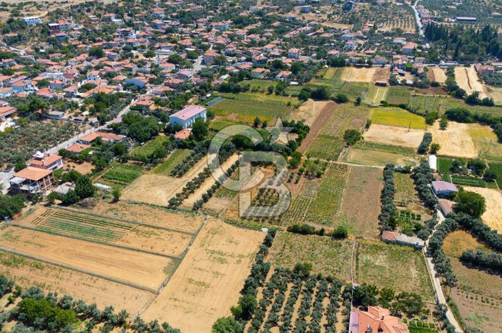 AKKAYA'DA MAHALLE YERLEŞİMİNE YAKIN; FIRSAT PORTFÖYÜ "TARLA"