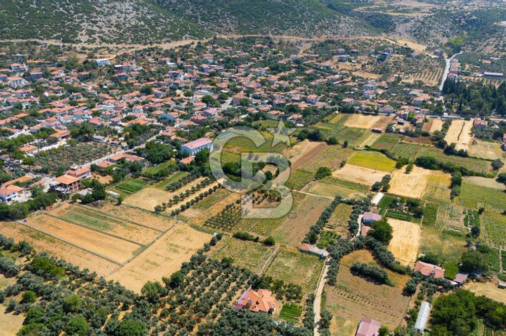 AKKAYA'DA MAHALLE YERLEŞİMİNE YAKIN; FIRSAT PORTFÖYÜ "TARLA"