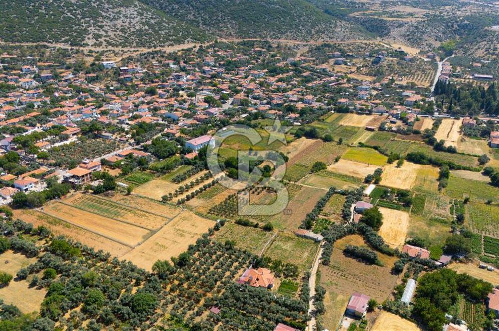 AKKAYA'DA MAHALLE YERLEŞİMİNE YAKIN; FIRSAT PORTFÖYÜ "TARLA"