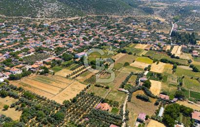 AKKAYA'DA MAHALLE YERLEŞİMİNE YAKIN; FIRSAT PORTFÖYÜ "TARLA"