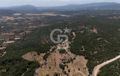 AKKAYA'DA GELİŞEN BÖLGEDE, YATIRIMLIK ORMAN İÇİNDE UYGUN "TARLA"