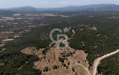 AKKAYA'DA GELİŞEN BÖLGEDE, YATIRIMLIK ORMAN İÇİNDE UYGUN "TARLA"