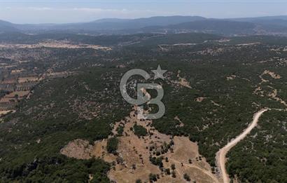 AKKAYA'DA GELİŞEN BÖLGEDE, YATIRIMLIK ORMAN İÇİNDE UYGUN "TARLA"